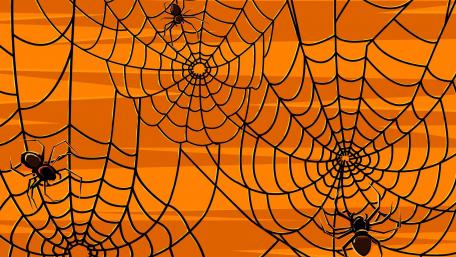 Spider Web Festivities: Halloween Vibes wallpaper