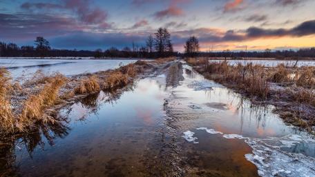 Winter Serenity in Frosted Landscapes wallpaper