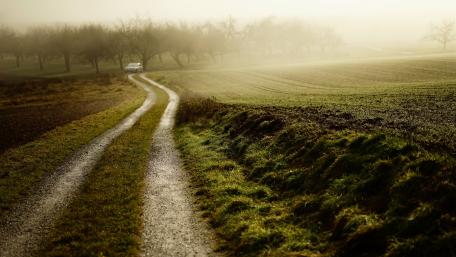 Serene Foggy Countryside Road Scene wallpaper