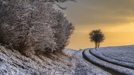 Winter's Embrace in Serene Countryside wallpaper