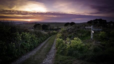 Serene Dusk in the Countryside Landscape wallpaper