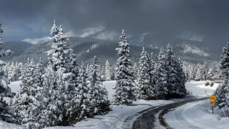 Serene Winter Road through Snowy Pines wallpaper