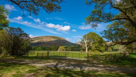 Serene Countryside View with Split Rail Fence wallpaper
