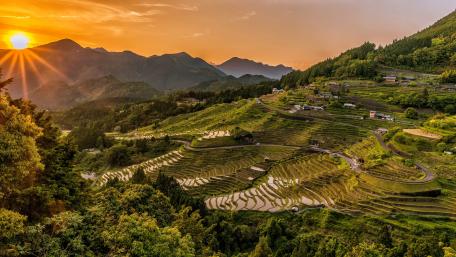 Golden Hour Over Serene Rice Terraces wallpaper