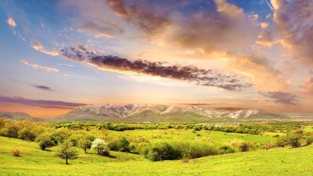 Serene Meadow Landscape at Sunset wallpaper