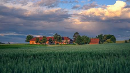 Serene Countryside Farmhouse View in 4K Quality wallpaper