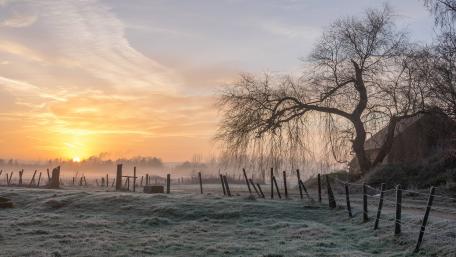 Enchanting Hoarfrost at Sunrise in the Countryside wallpaper
