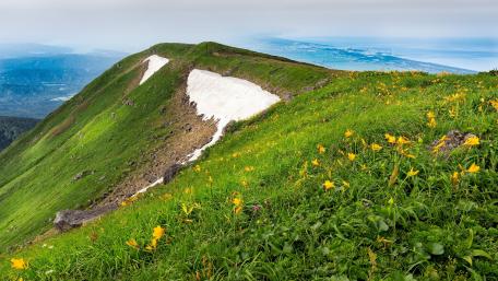 Vibrant Spring on a Serene Mountainside wallpaper