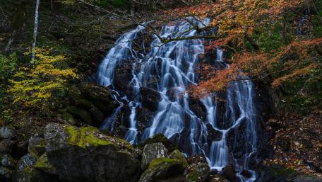 Autumn Serenity at the Chute Waterfall wallpaper
