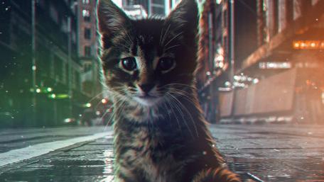 Supercat wallpaper