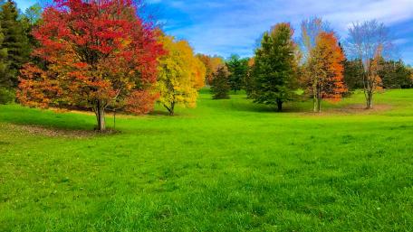 Fall colors wallpaper