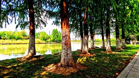 Taicang Tianjing Lake wallpaper