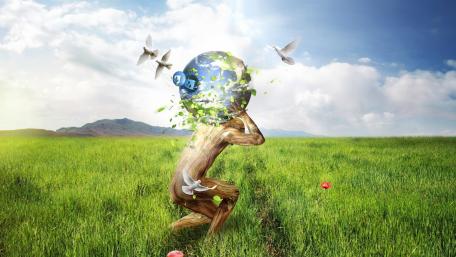 Earthly Guardian in a Serene Field wallpaper
