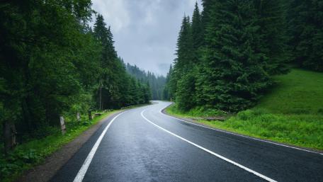 Road between green trees wallpaper