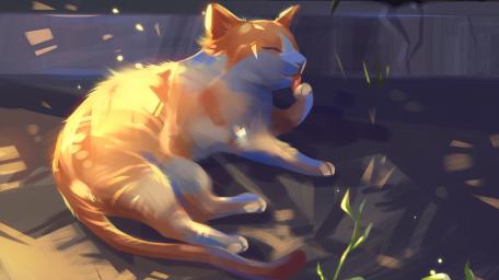 Majestic Feline Basking in Sunlight wallpaper