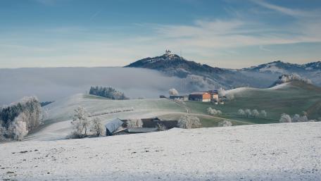 Serene Winter Countryside Landscape wallpaper