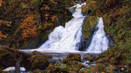 Autumn Cascade in Tranquil Forest wallpaper