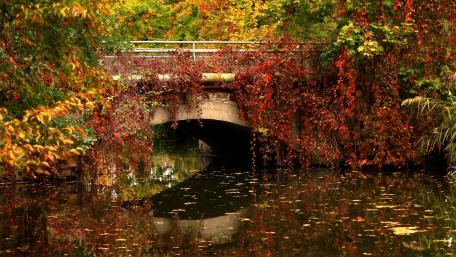 Autumn Bridge Reflection in Vibrant Colors wallpaper