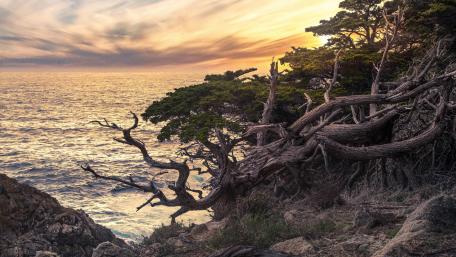 Serene Coastal Sunset Overlooking the Sea wallpaper