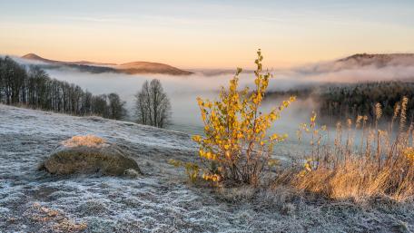 Serene Winter Landscape in Foggy Haze wallpaper