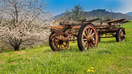 Rustic Spring Beauty in the Countryside wallpaper