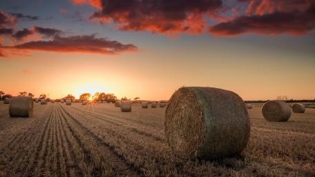 Golden Sunset over Rural Haystacks in the Countryside wallpaper