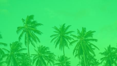 Tropical Vibes in Retro Green Shades wallpaper