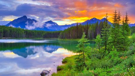 Herbert Lake wallpaper
