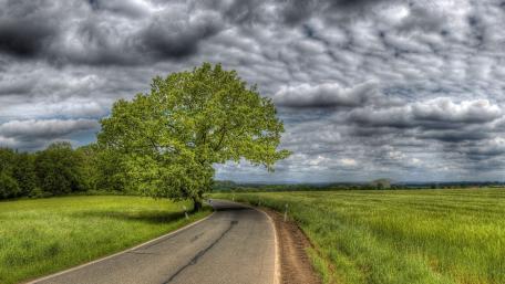 Serene Spring Road in Lush Green Field wallpaper