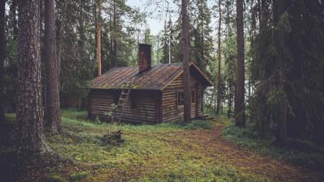 Cottage Retreat in the Forest wallpaper