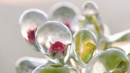 Freezing rain wallpaper