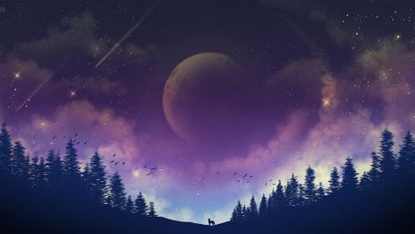 Wolf's Silent Night Under a Starry Moonlit Sky wallpaper