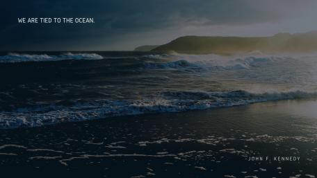 We are tied to the ocean wallpaper