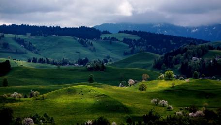Serene Spring Landscape Over Rolling Hills wallpaper