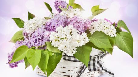 Vibrant Lilac Blossoms in a Basket wallpaper