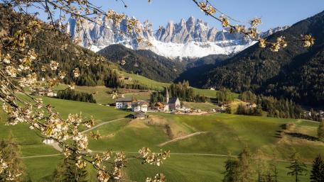 Springtime Splendor in Santa Maddalena, Italy wallpaper