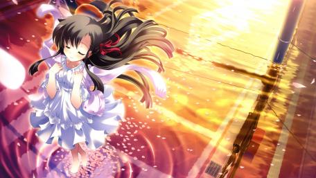 Serene Anime Girl Among Sunset Blossoms wallpaper