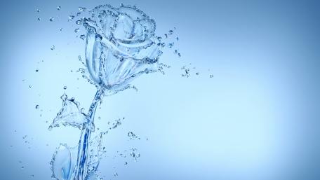 Elegant Blue Rose in Water Droplets Artwork wallpaper