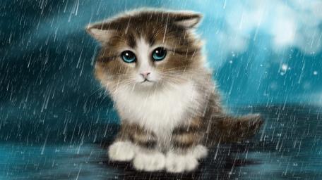 Mystical Kitten in Rainy Night wallpaper