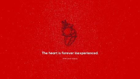 The heart is forever inexperieced. wallpaper