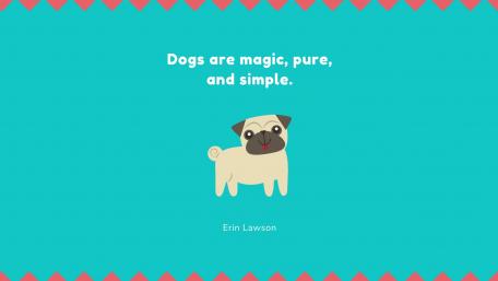Dogs are magic, pure, and simple. wallpaper