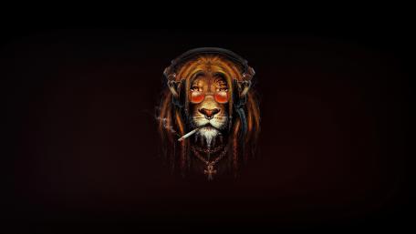 Loose lion wallpaper