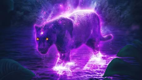 Purple panther wallpaper