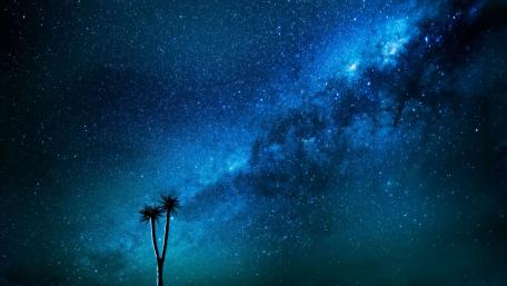 Milky Way Over Solitary Tree wallpaper