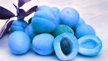 Blue Apricot wallpaper