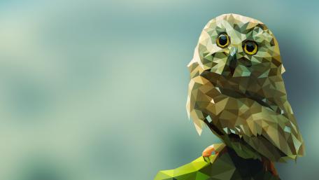 Polygonal owl wallpaper