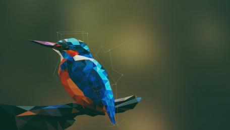 Polygonal Kingfisher wallpaper