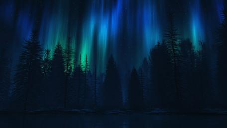 Mystical Aurora Borealis Dance Above the Dark Forest Night Sky wallpaper