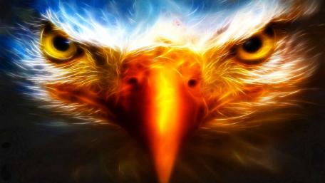 Majestic Eagle in Vibrant Colors wallpaper
