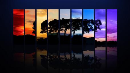 Vibrant Tree Strip Collage Wallpaper wallpaper
